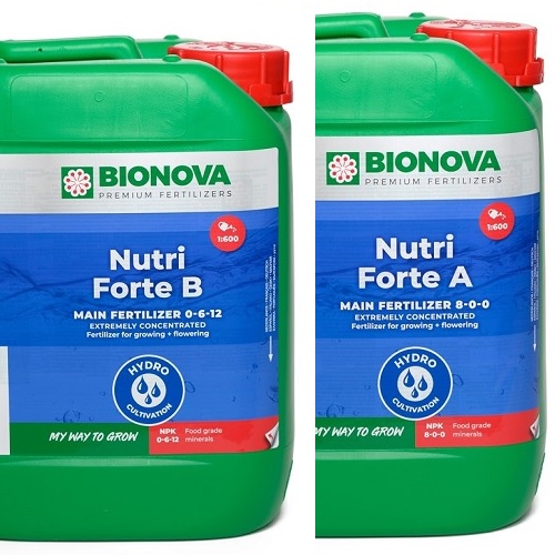 Engrais hydroponie BIONOVA Nutri Forte A+B 2 fois 5L