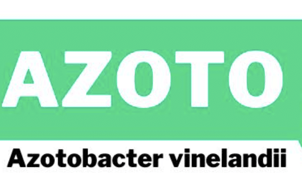 AZOTO